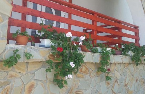 Slamnesti House | Pensiunea Agroturistica Ioana