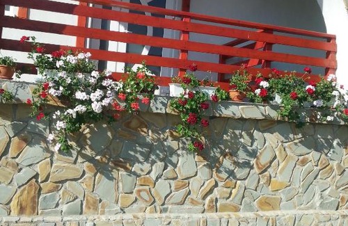 Slamnesti House | Pensiunea Agroturistica Ioana