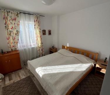 Petrosani House | Pensiunea Alexia