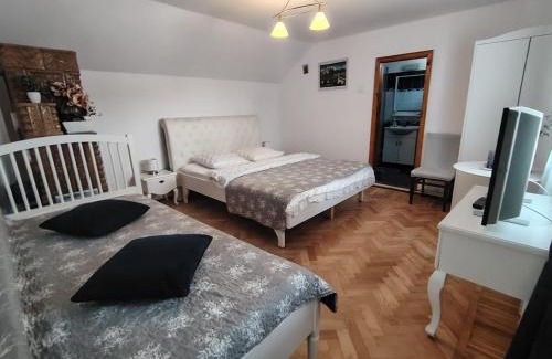 Oestii Paminteni House | Pensiunea Andreea
