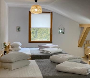Padis House | Pensiunea Bradet - Padis