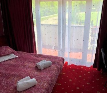 Slanic Bed & Breakfast | Pensiunea Casa Pădurii Slanic PRAHOVA