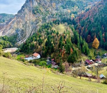 Bicaz-Chei House | Pensiunea Cheile Șugăului