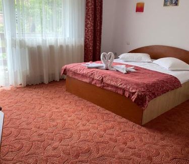 Moieciu de Jos House | Pensiunea Denisa Preda