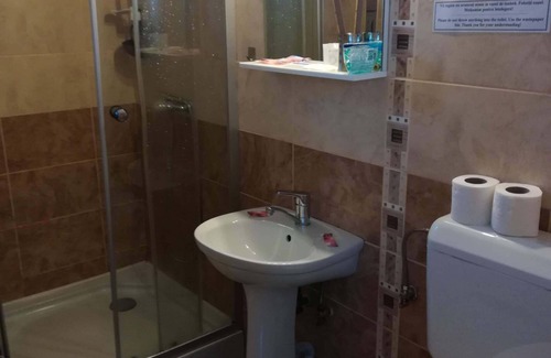 Curtea De Arges Bed & Breakfast | Pensiunea Ioana