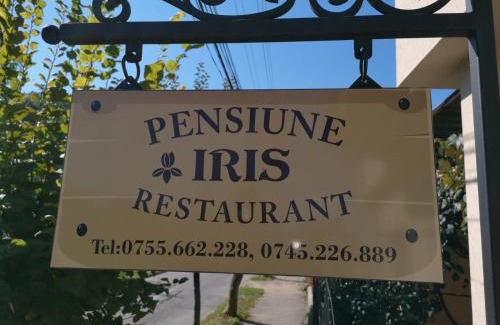 Sighetu Marmatiei House | Pensiunea Iris