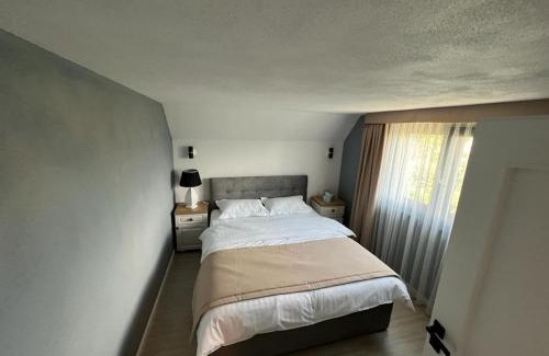 Toplita Villa | PENSIUNEA IZABELLA, Vila Cocket