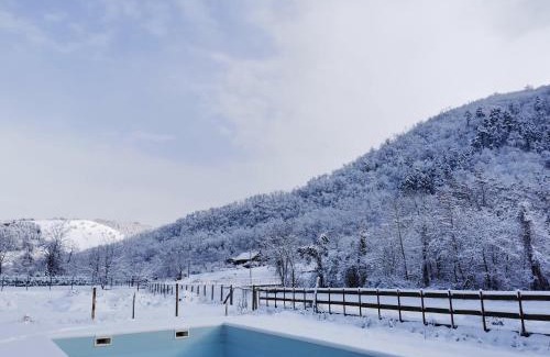 Pianu de Sus House | Pensiunea La Nenea Iancu
