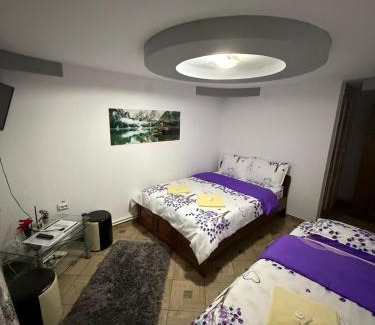 Frasin House | Pensiunea La Ovidiu