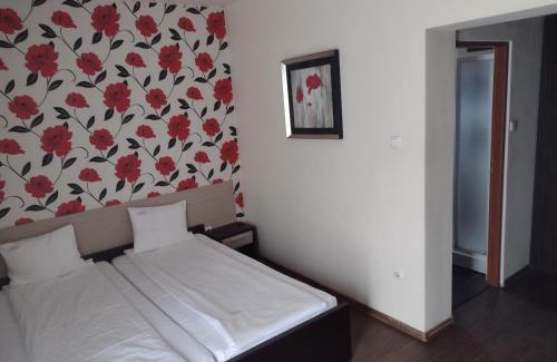 Hidiselu de Sus Hotel | Pensiunea Larysse