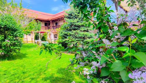 Douazeci si Trei August Hotel | Pensiunea Roșu Litoral