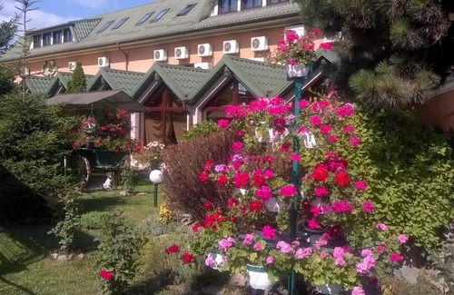 Suceava House | Pensiunea Scorpion Cazare Suceava