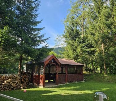 Maneciu Villa | Pensiunea Zece Brazi Cheia