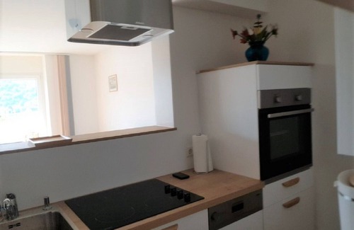 Bad Hoenningen Apartment | Penthouse directly on the Rhine with a 100m2 roof terrace near the Eifel & Westerwald