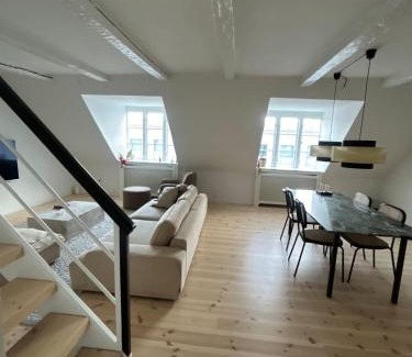Copenhagen K Apartment | Penthouse doublex w water view