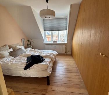 København V Apartment | Penthouse in Central Copenhagen
