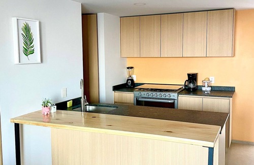 Lafayette Apartment | Penthouse in SOHO Morelos with a spectacular view