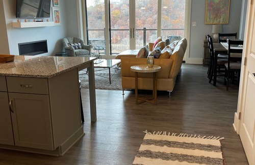 Central Business District Condo | Penthouse - River View, Walk to Restaurants, Pet Friendly, huge monthly discount