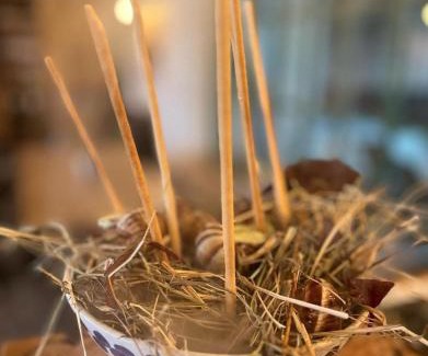 Znojmo House | Penzion a bistro Starý kopec