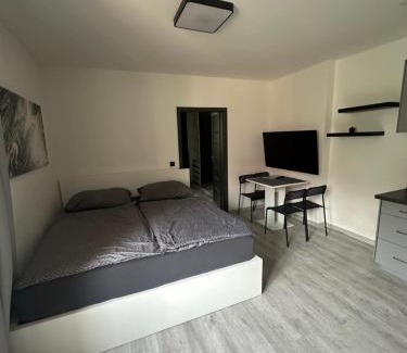 Zatec Apartment | Penzion Fortuna Žatec