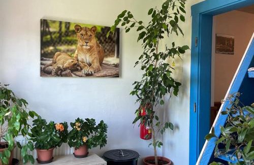 Dvur Kralove nad Labem House | Penzion Slunečnice