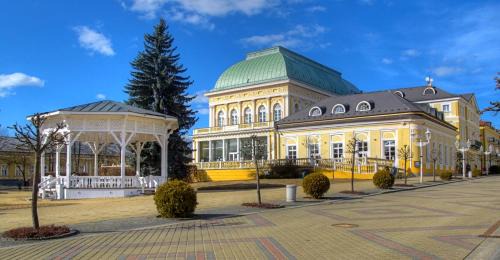 Frantiskovy Lazne House | Penzion U Modrého Slona