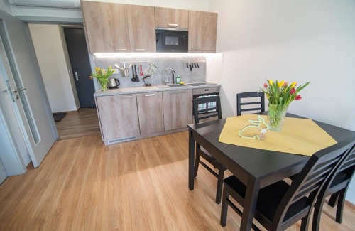 Mikulov Apartment | Penzion U Vinaře