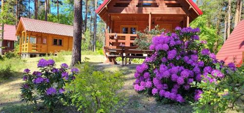 Junoszyno Resort | Perła