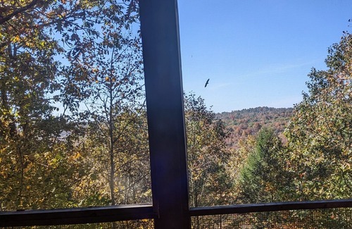Harrisonville Ski Chalet | Perched in the Trees, Very Private, Screened in Porch with view