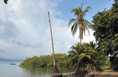 Puerto Jimenez Apartment | Peregrine Nest, surrounded by nature & steps away from the beach.