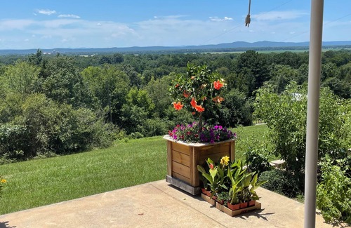 Morrilton House | Perfect Eclipse Viewing Location