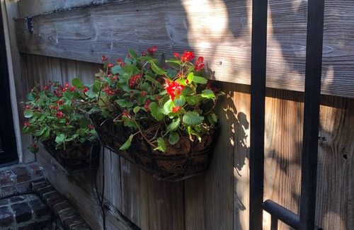 French Quarter House | PERFECT LOCATION.PARK, RELAX, & WALK! MIDDLE OF THE FRENCH QUARTER!