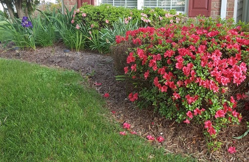 Fredericksburg House | Perfect location for traveling nurses, close to 3 major hospitals