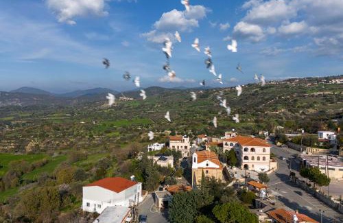 Peristerona House | Peristerona, Olive Manor Boutique Stone- built Stay for 8 people close to Polis and Paphos