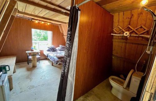 Son Trach House | Pet Fan Home - Nguyen Shack