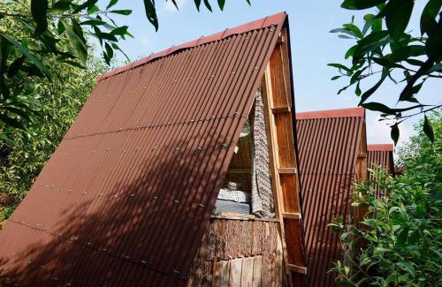 Son Trach House | Pet Fan Home - Nguyen Shack