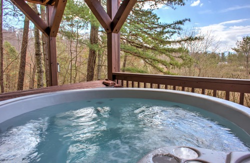 Maple Springs Cabin | Pet-Friendly Log Cabin with Hot Tub & Biltmore Pass | 35 Min to Asheville