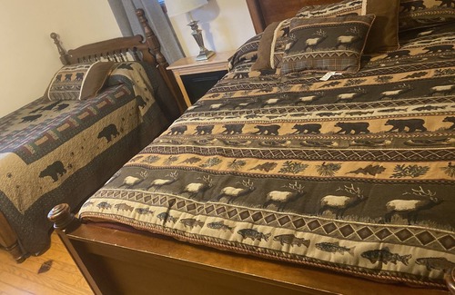 Mingo Cabin | Pet Friendly! Smith's Mother-in-law suite in snowshoe!
