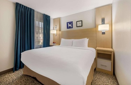 Arrowood Hotel | Pet-Friendly Suite Designed for Convenience Close to Charlotte's Top Spots