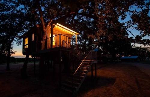 Elm Mott RV Rental | Pet Friendly The Robin Treehouse (15 MIN to Magnolia & Baylor)