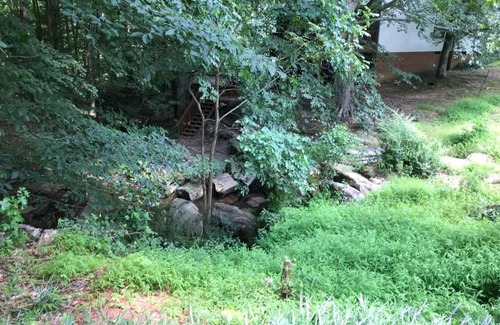 North Raleigh House | Pet Friendly & Walking Distance to Falls Lake