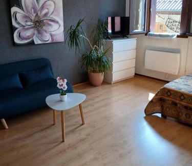 Metabief Apartment | Petit studio tout confort