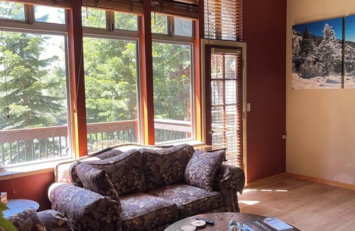 Lake Forest Condo | Pets! Walk to Lake! On the Bike Trail! Close to town!