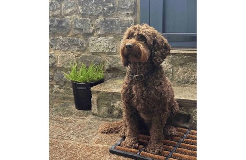 Tideswell House | Peverel House, Tideswell. Sleeps 4, Dog Friendly