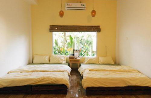 Ben Tre House | Phòng Dừa - Nhà Mơ Homestay Bến Tre