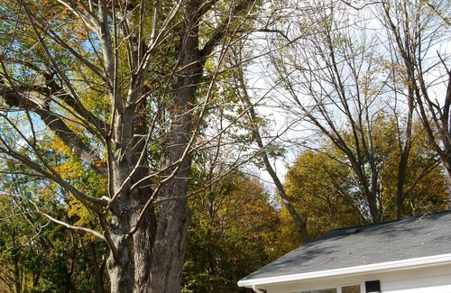 Andover House | Phillips Academy Area – Ideal for Families Visiting Campus & Touring New England