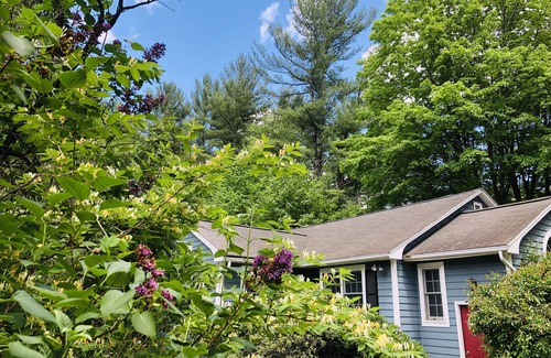 Phoenicia House | PHOENICIA mid-century cutie by the creek, minutes from Belleayre and Hunter!