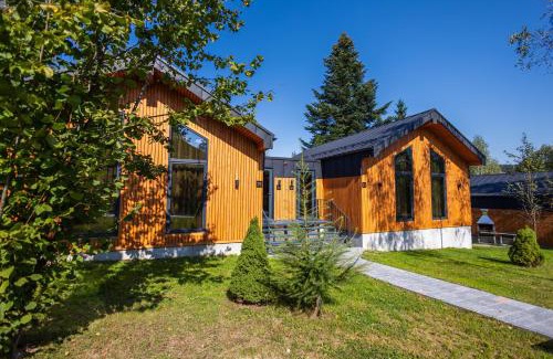 Skhidnytsya Resort | Phoenix Medical Resort