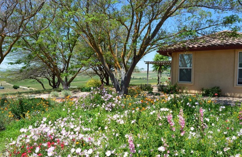 San Miguel House | Pickleball @ Casa De-Vine in Paso Robles Wine Country, 10 Acres, Vineyard Views