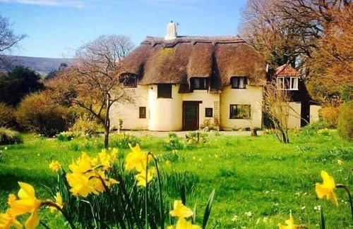 Fiddington Cottage | Picturesque Thatched 4 bedroomed Cottage between Quantock Hills and Sea